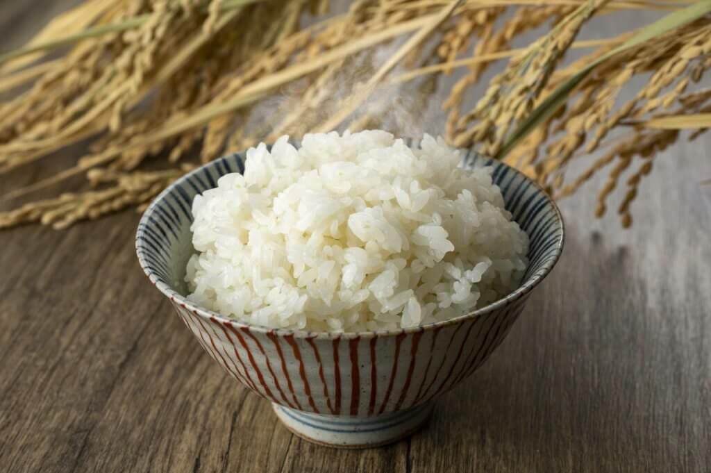 【筋トレ初心者必見！】筋肉が必ずつく筋トレ前後の食事方法