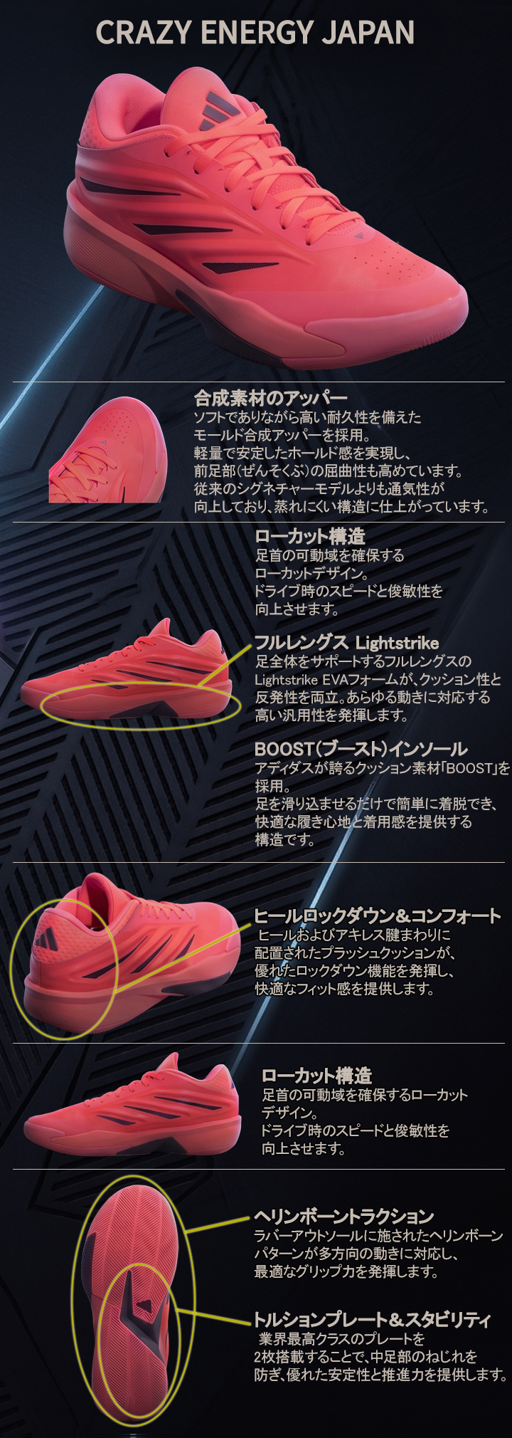 クレイジーエナジー ジャパン