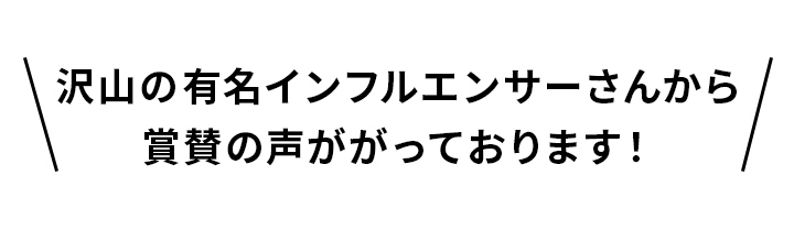 インフルエンサー
