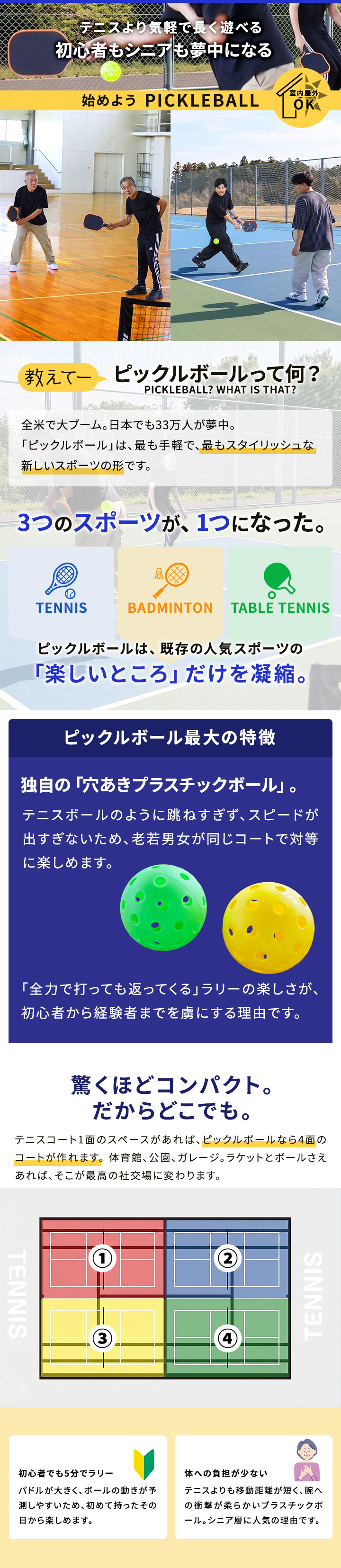 LES-PBピックルボールセット