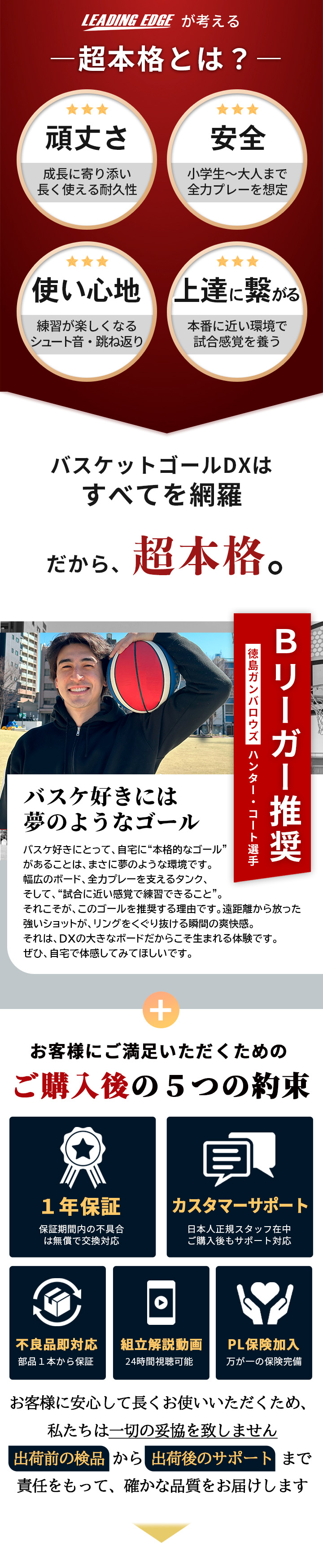 バスケットゴール DX