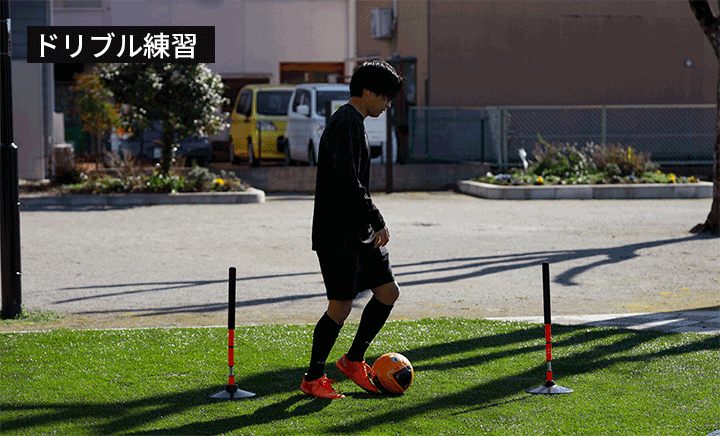 トレーニング ポール