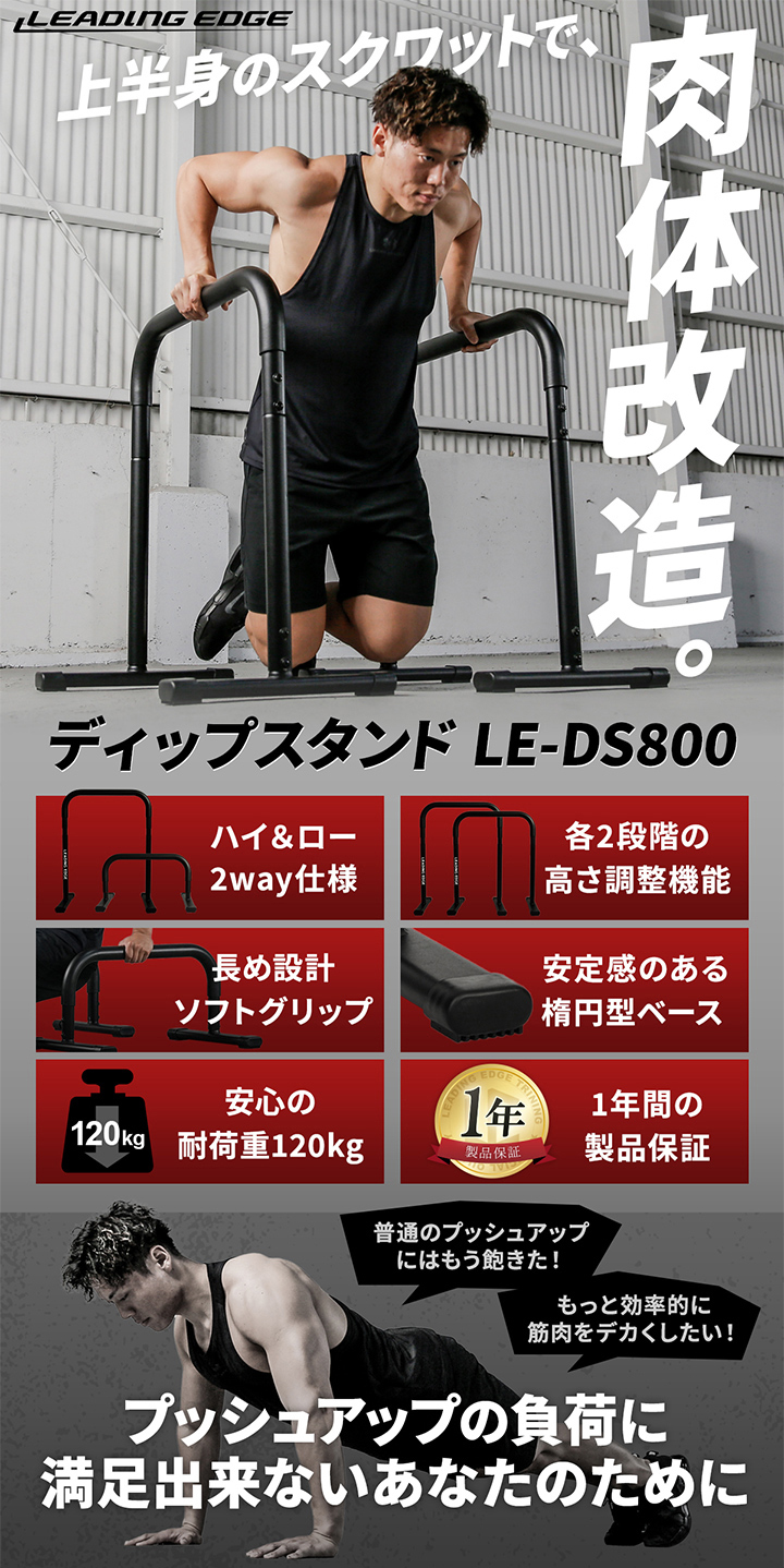リーディングエッジ ディップスタンド LE-DS800 ディップス　スタンド