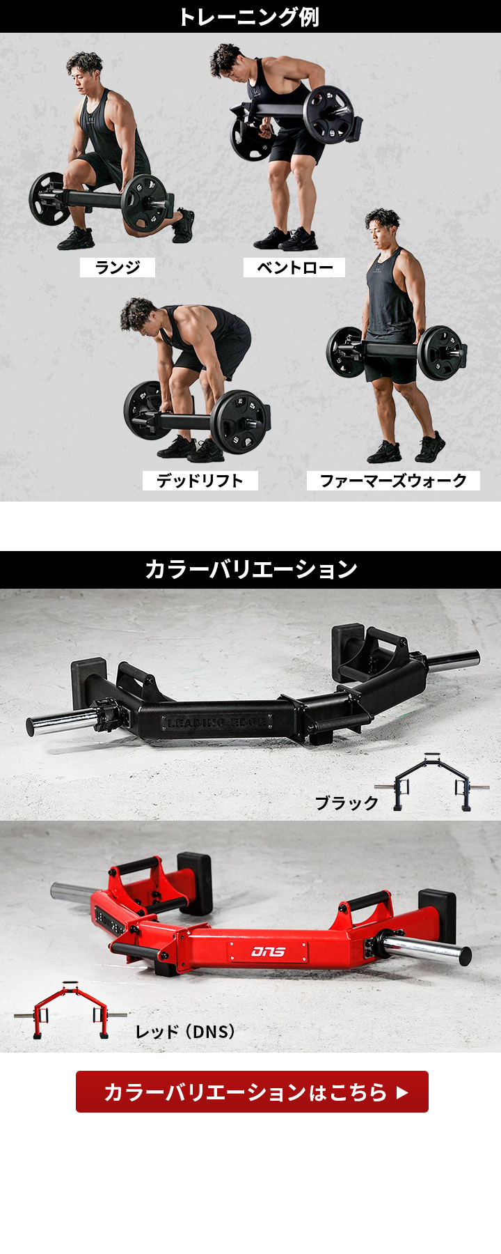 トレーニング例・カラーバリエーション