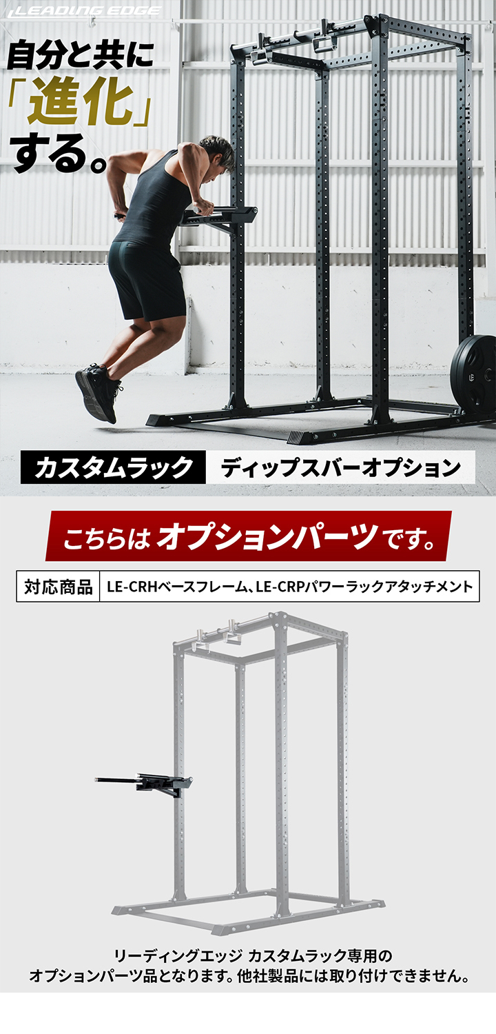 リーディングエッジ カスタムラック オプション ディップスバー