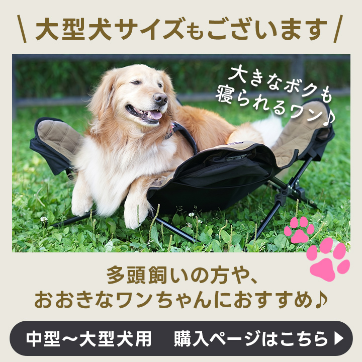 ビッグサイズはこちら