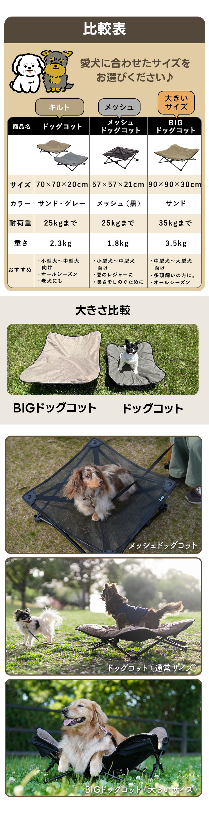 比較表