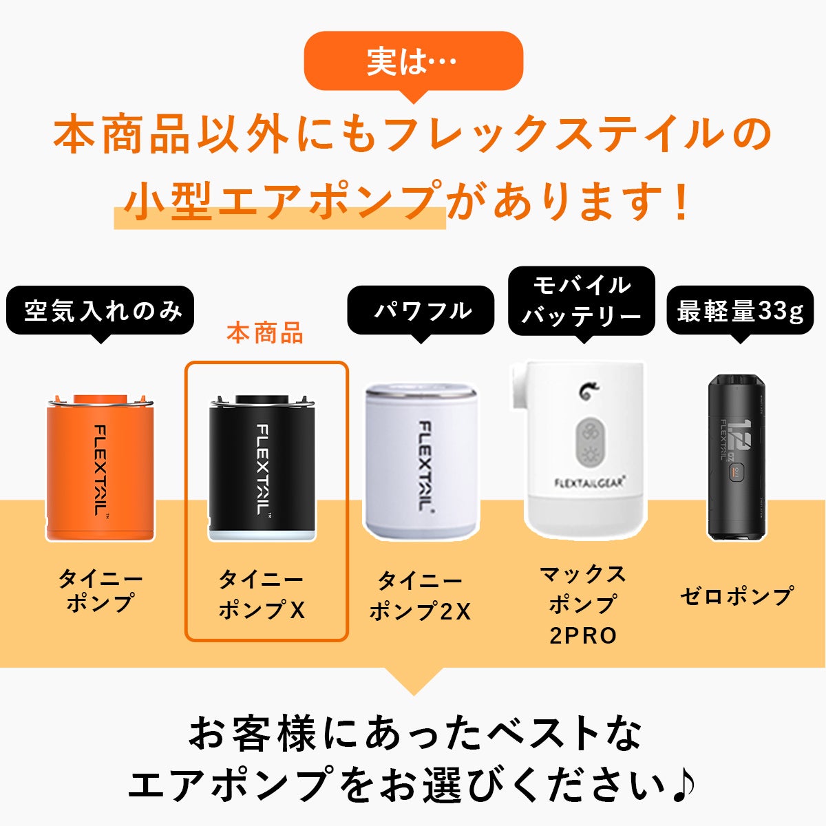 フレックステイル タイニーポンプ 3X ゼロポンプ マックスポンプ タイニーポンプX エアーポンプ 充電式 Tiny Pump X プール用ポンプ