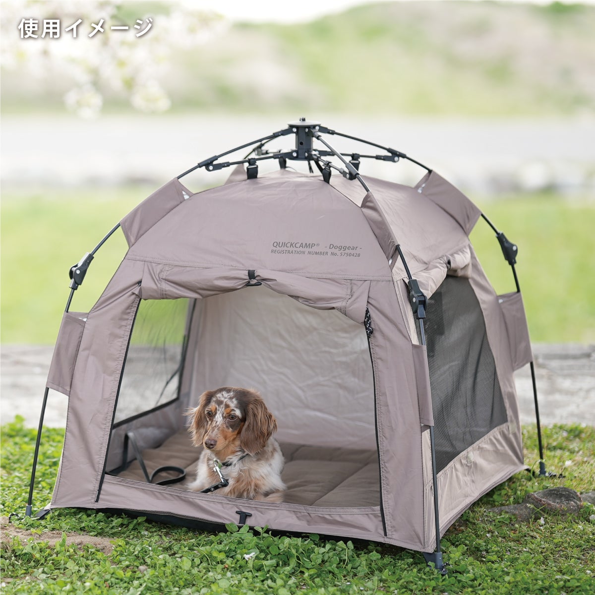 ドッグテント ワンタッチ ペット用 犬小屋 サンド INNU-PT75 SD