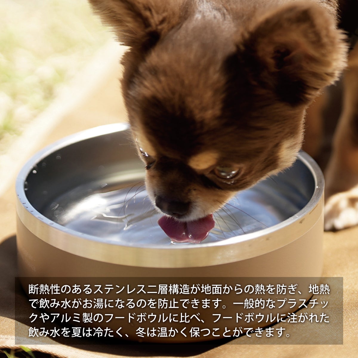 在庫限り】ドッグフードボウル 食器 サンド INNU-FB SD | YOCABITO