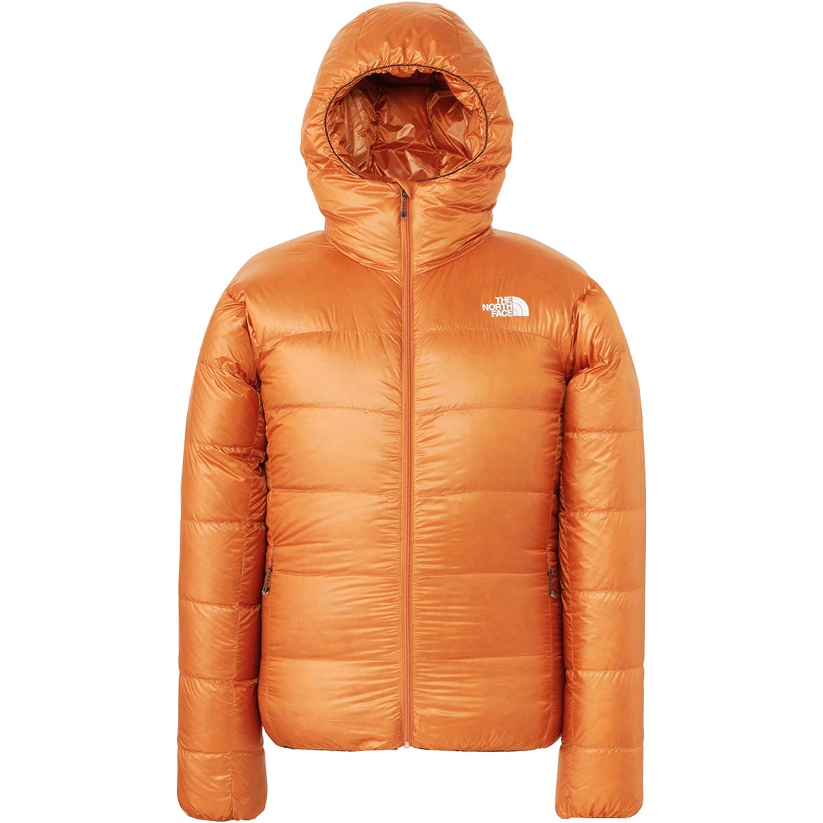 アルパインヌプシフーディ Alpine Nuptse Hoodie メンズ ジャケット