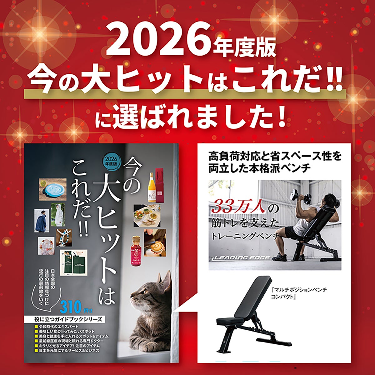 マルチポジションベンチ コンパクト トレーニングベンチ LE-B80C