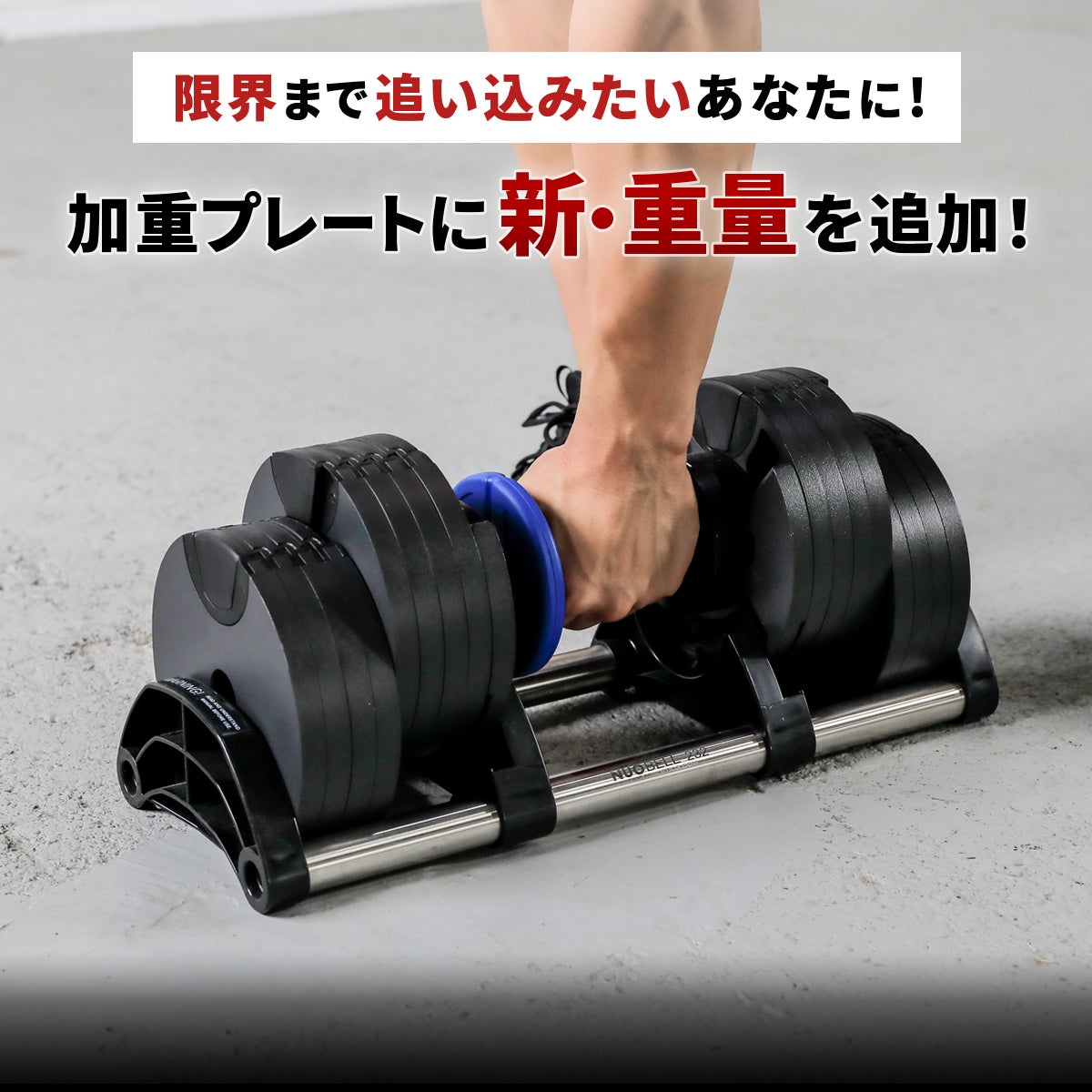 ウエイトトレーニング OUTPUT 000000016952-02.jpg?size=l&w=