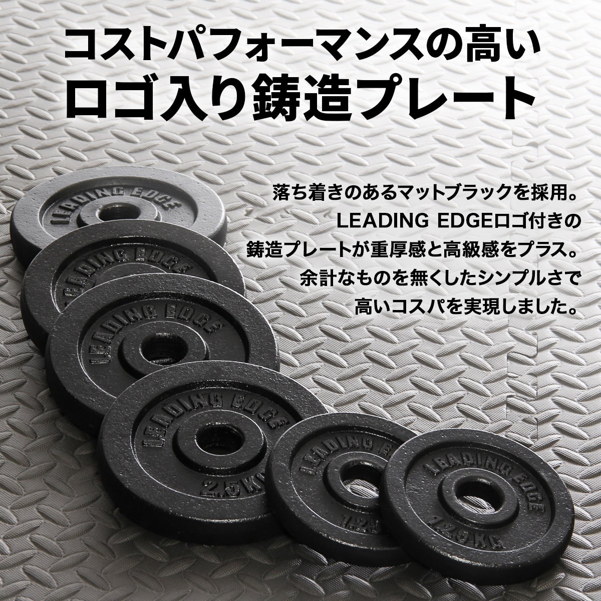 アイアン 2.5kg プレート 2枚セット 28mm径 ダンベル ブラック LE