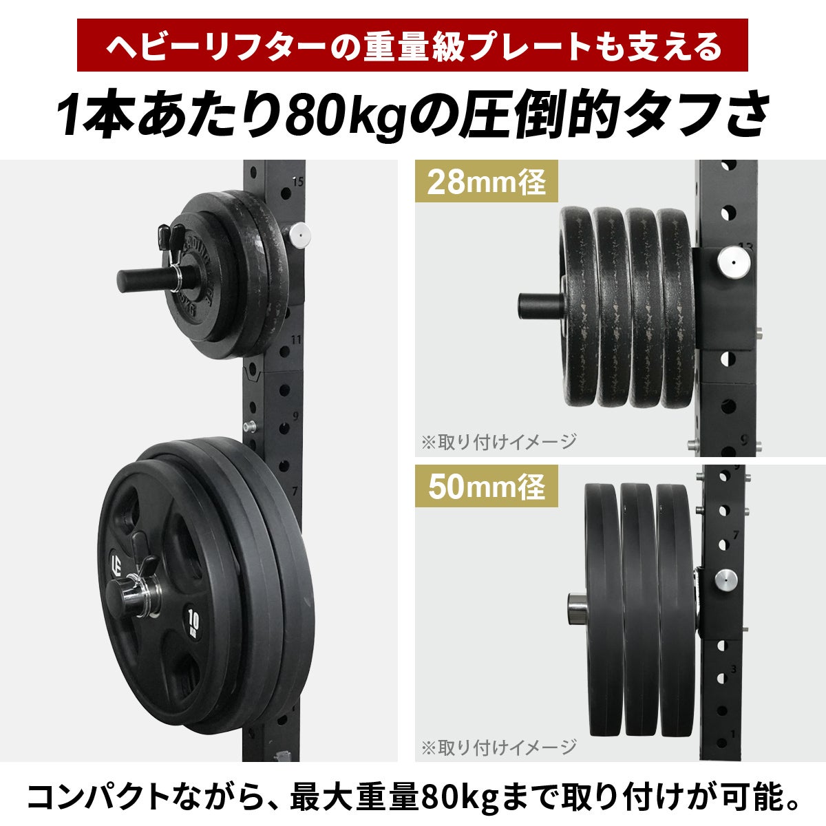プレートホルダー オプション PLATE HOLDER OPTIONS 筋力トレーニング