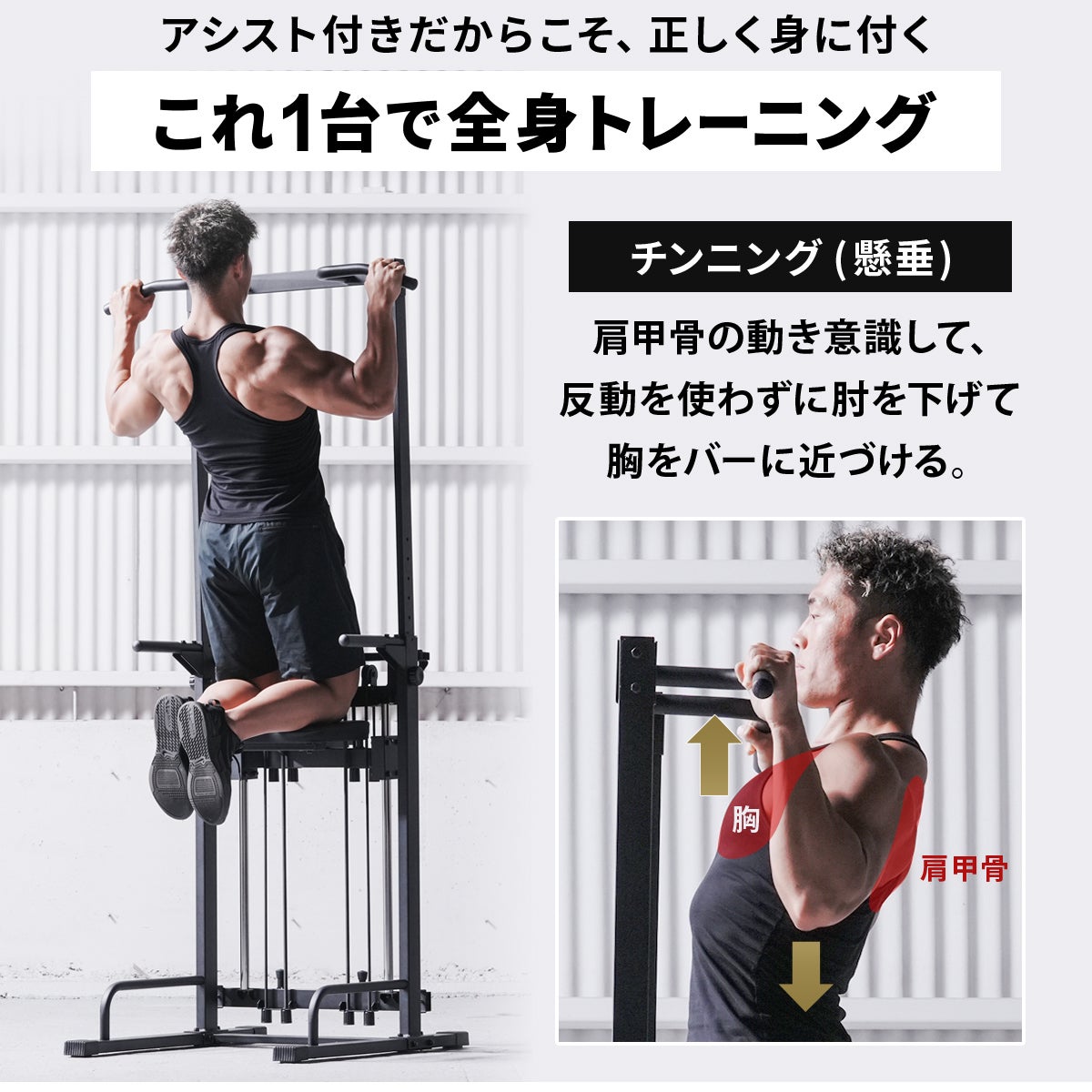 アシスト付チンニングスタンド 懸垂器具 ブラック LE-CSA200