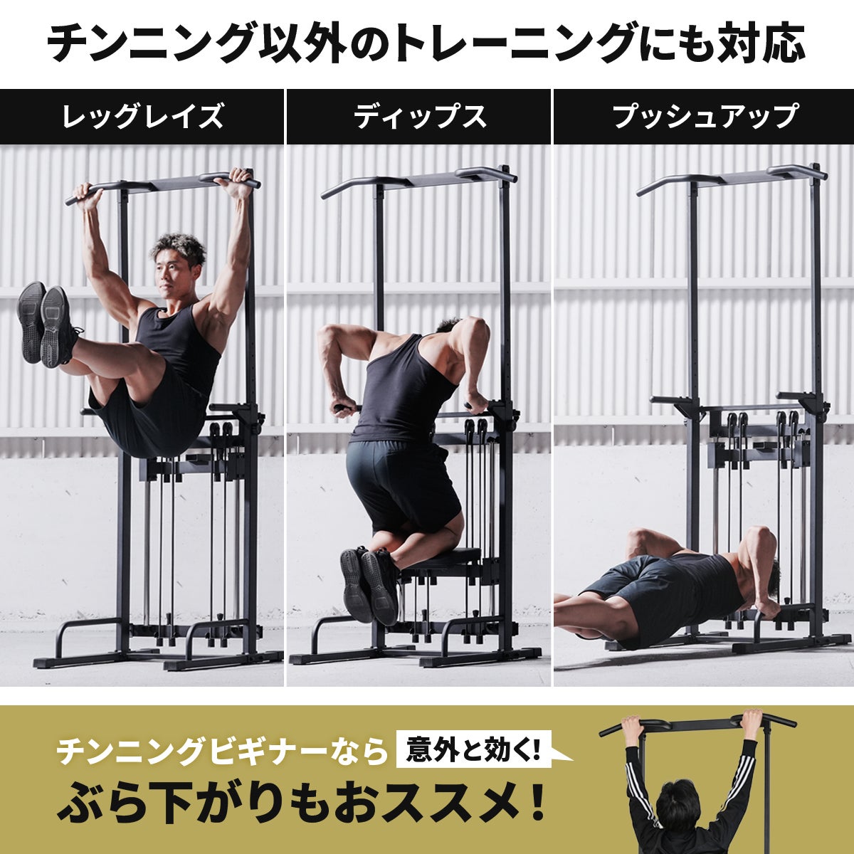 アシスト付チンニングスタンド 懸垂器具 ブラック LE-CSA200