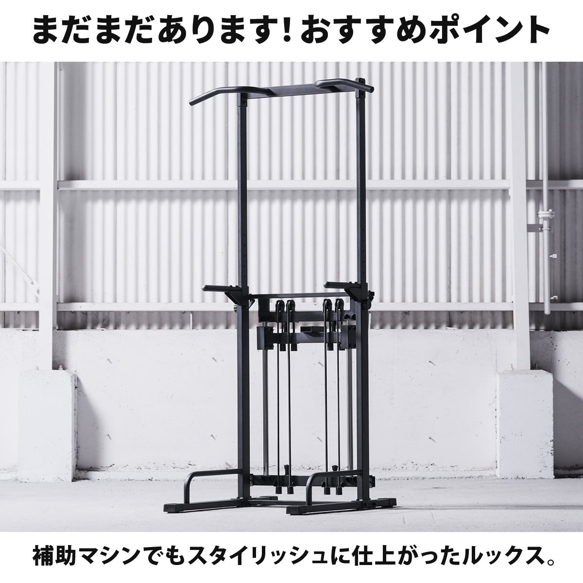 アシスト付チンニングスタンド 懸垂器具 ブラック LE-CSA200
