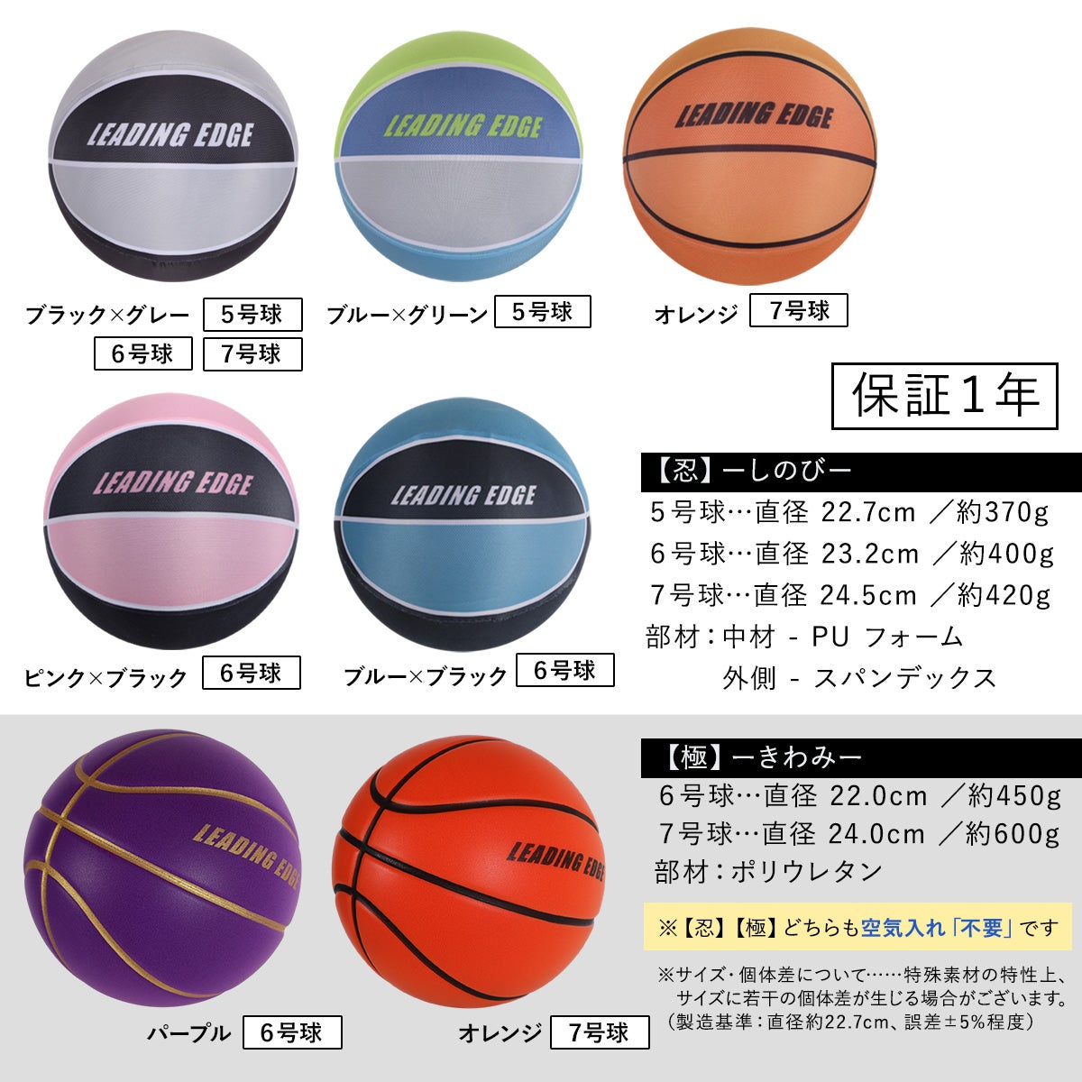 リーディングエッジ バスケ練習セット ドリブルマット＆家練球2点